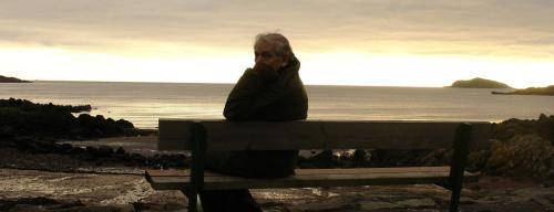 Don at Rockcliffe, Dumfries and Galloway